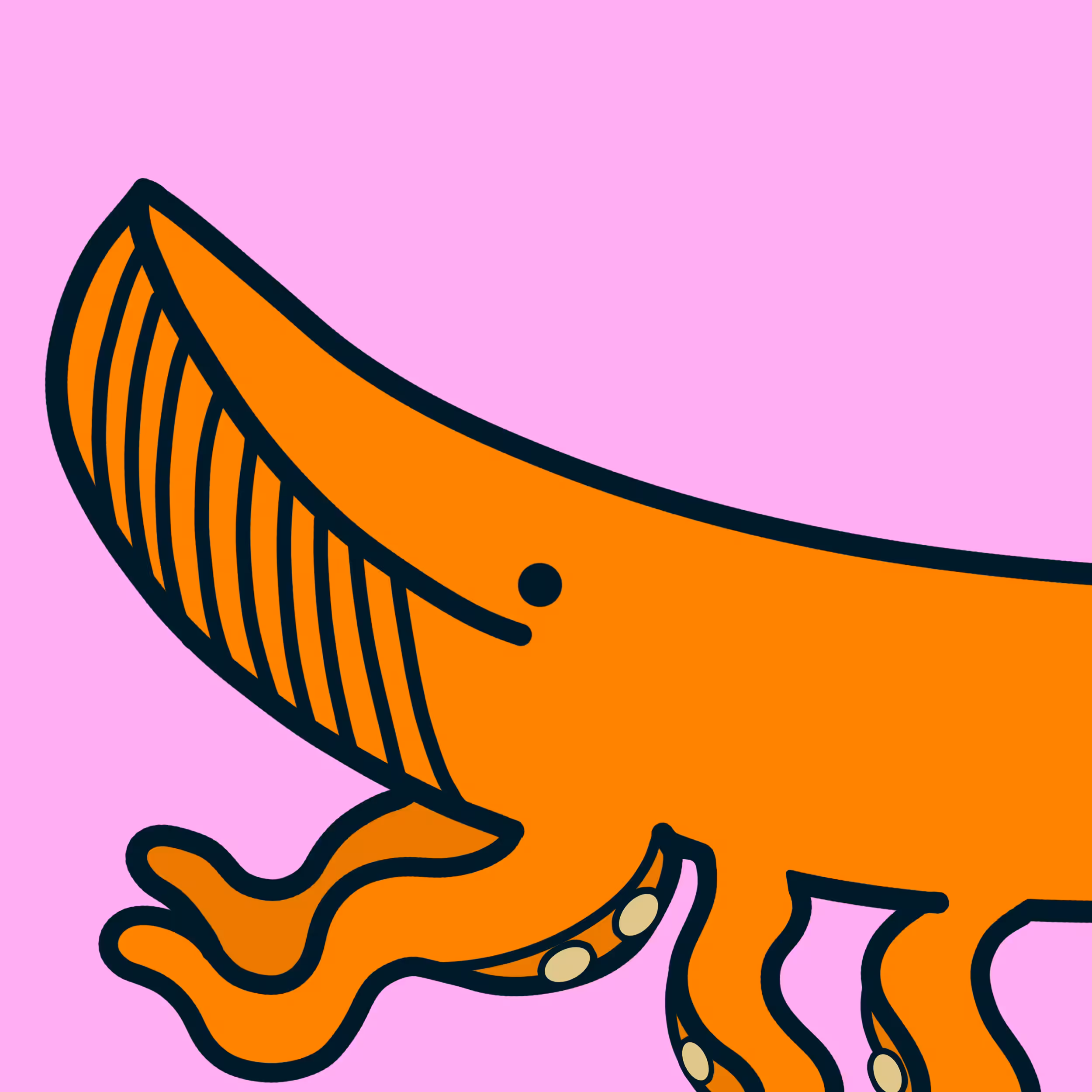 Whaleysquid