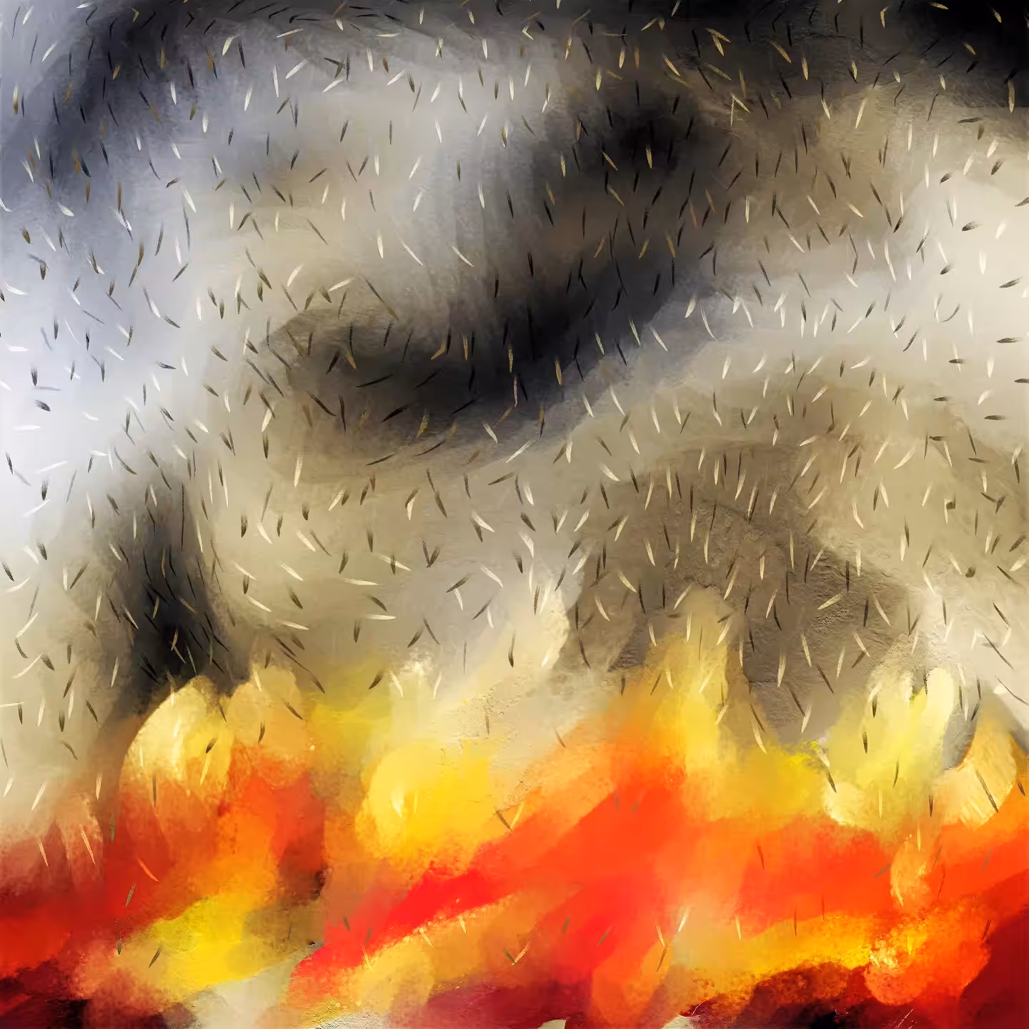 wildfire