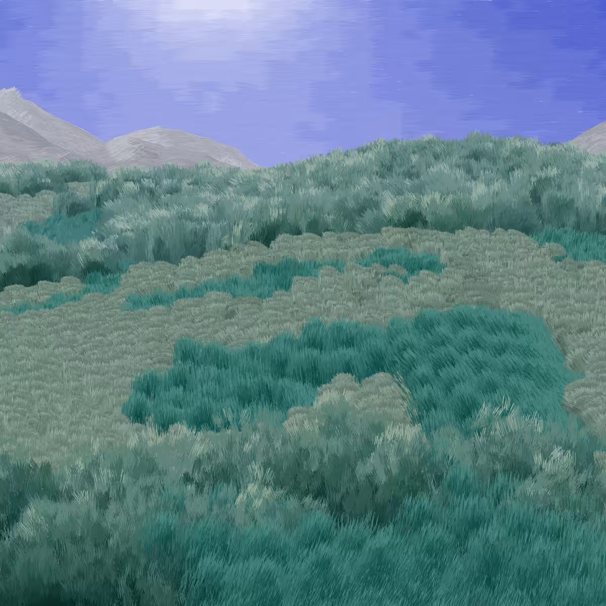 Provence #81