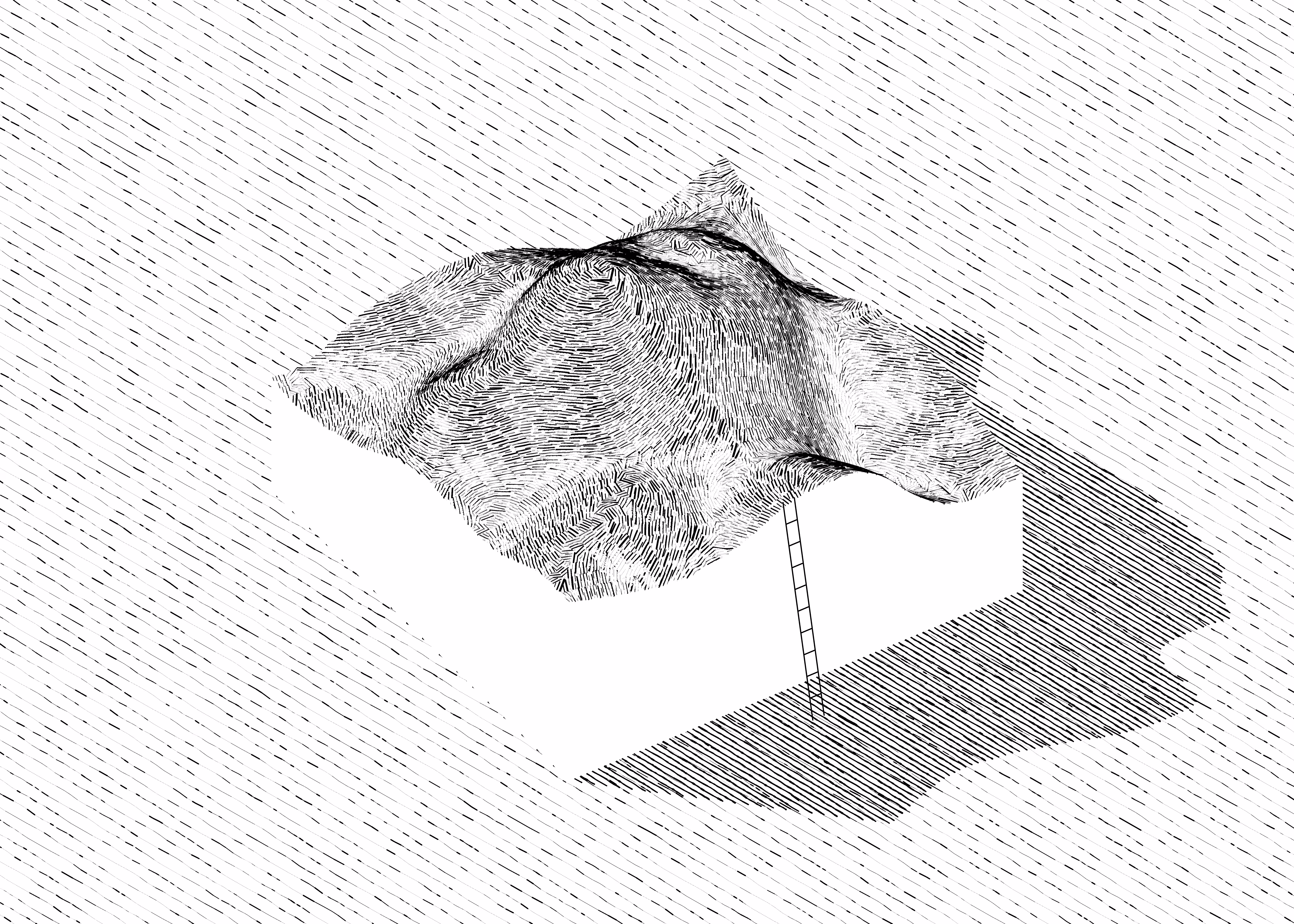 scales