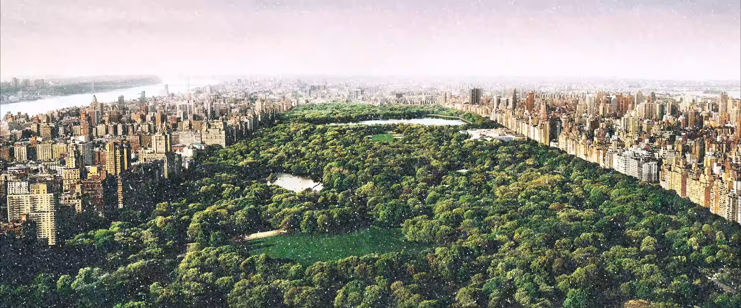 'DREAMS OF CENTRAL PARK' DIAMOND DUST DIGITAL