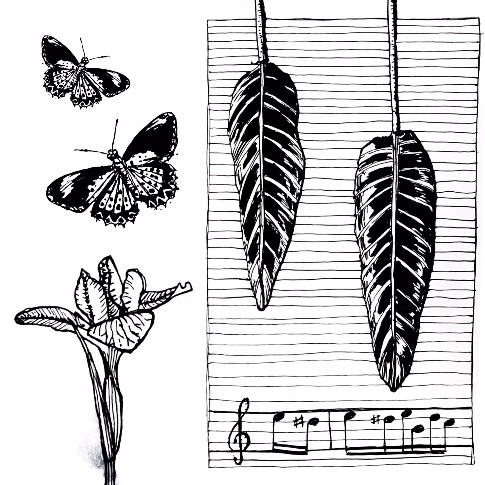 Flora and Fauna
