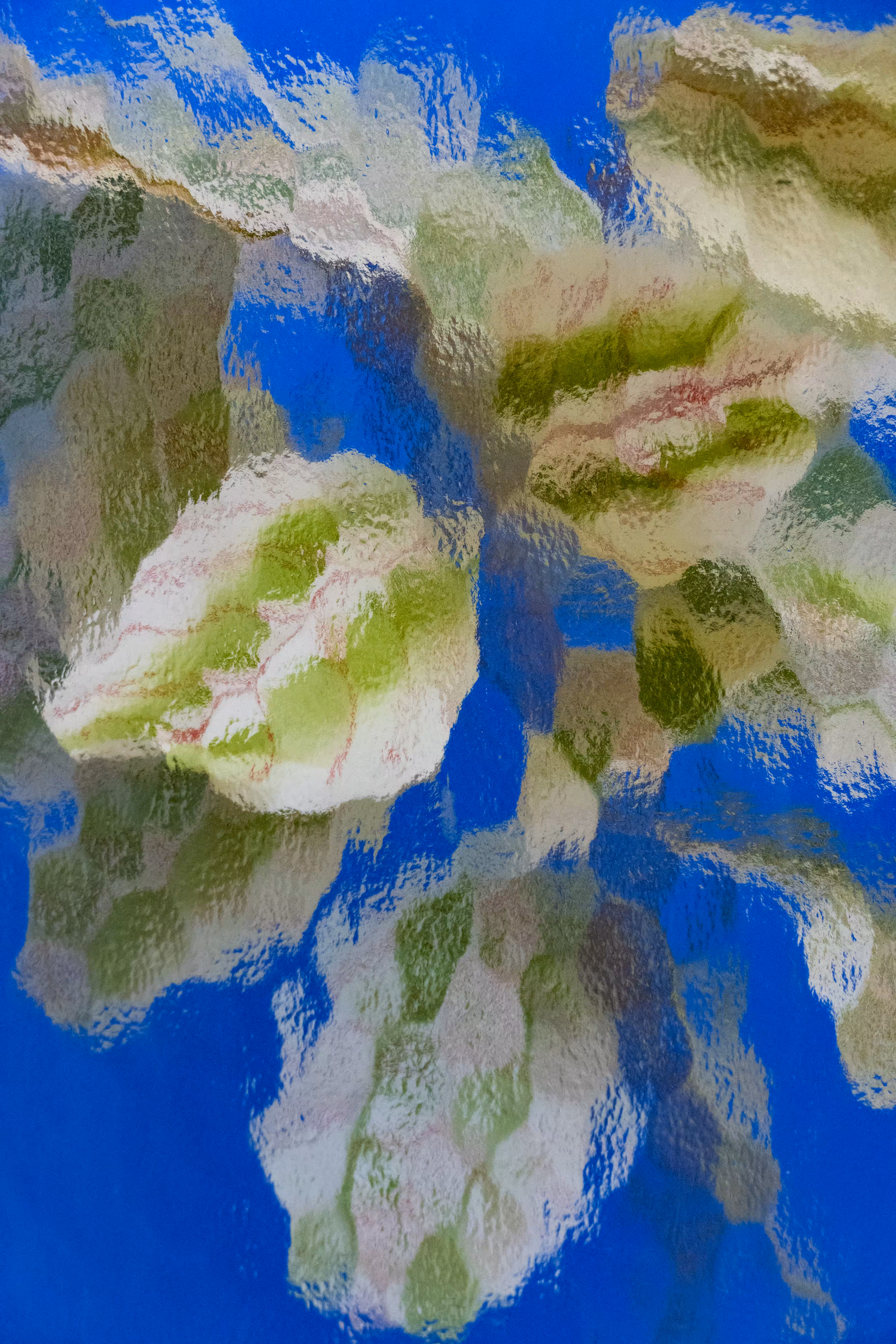 Leaves