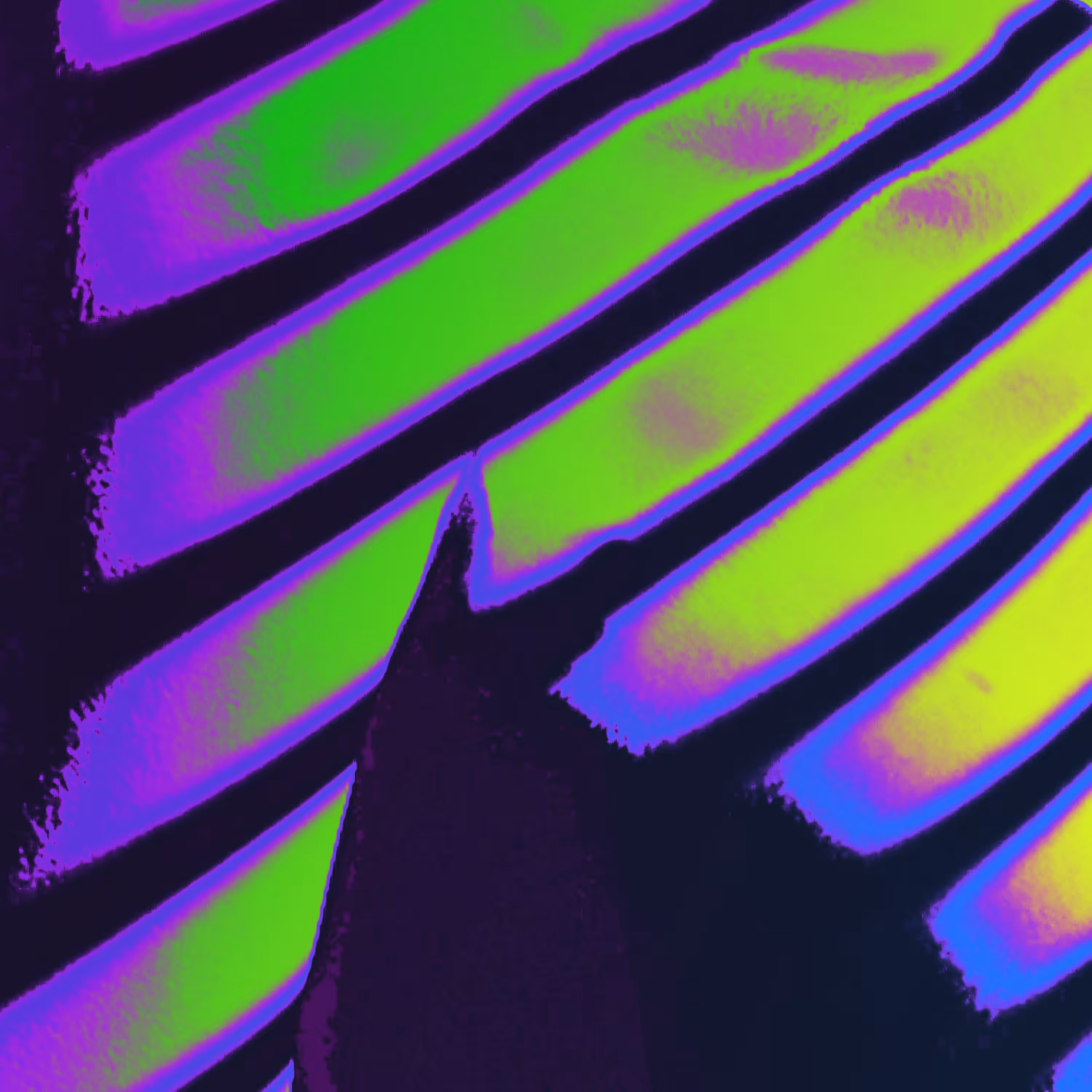 Shadows