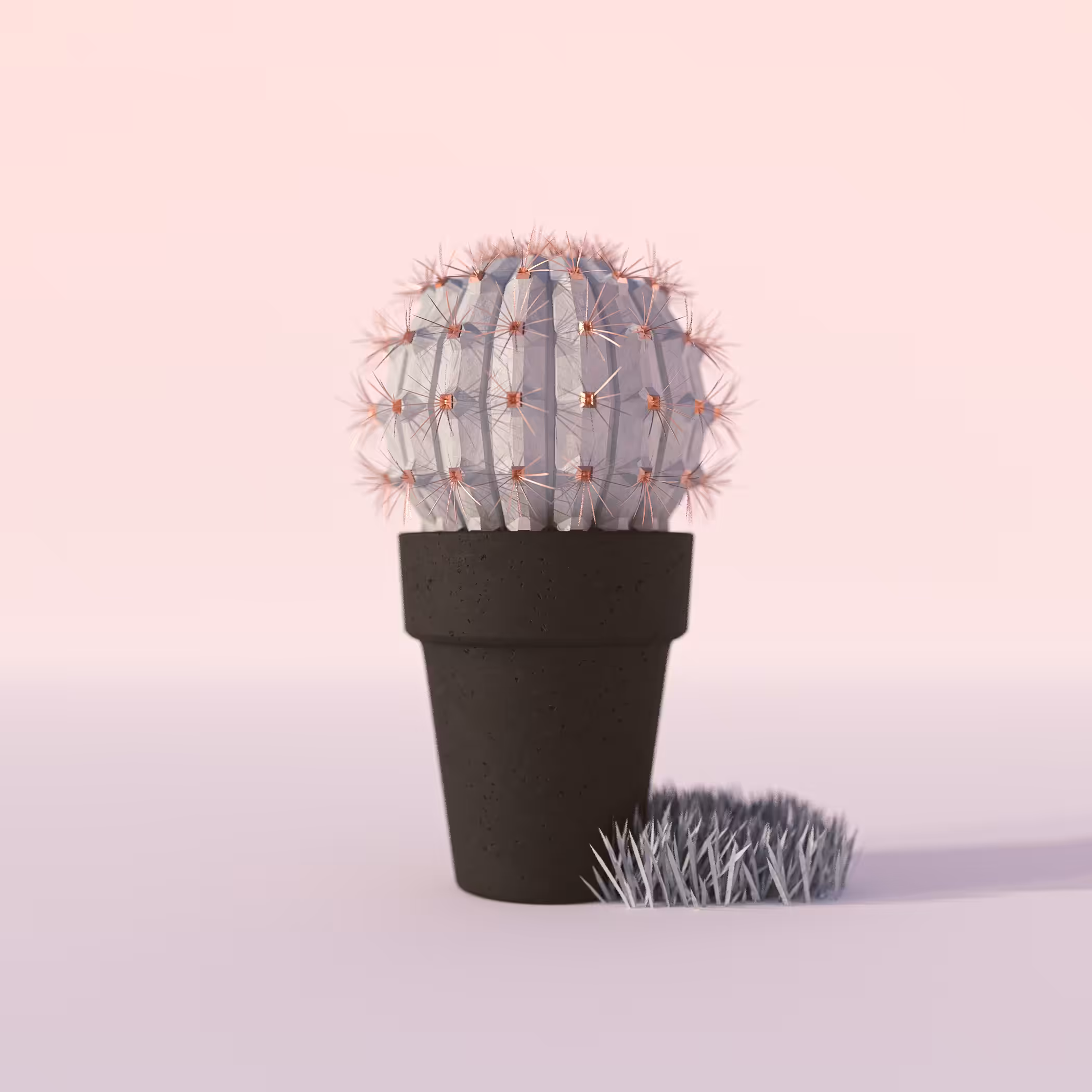 Lava Stone Cactus