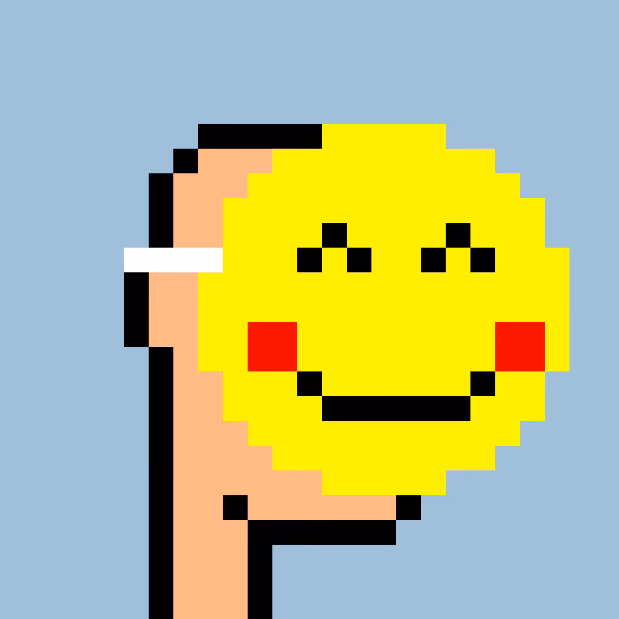 Tez Punks: Tez Punk #815