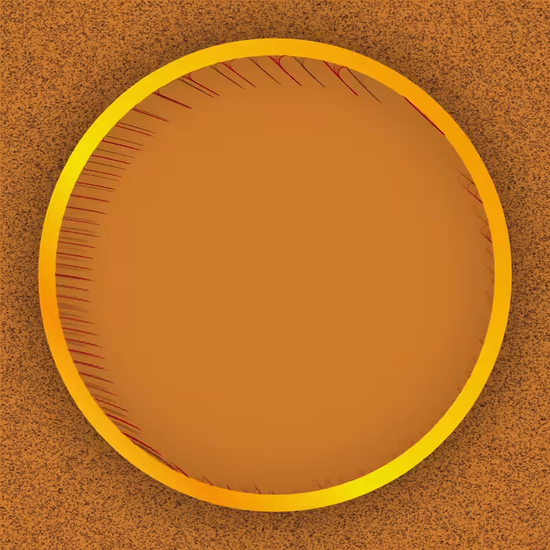 CircleWindow#035