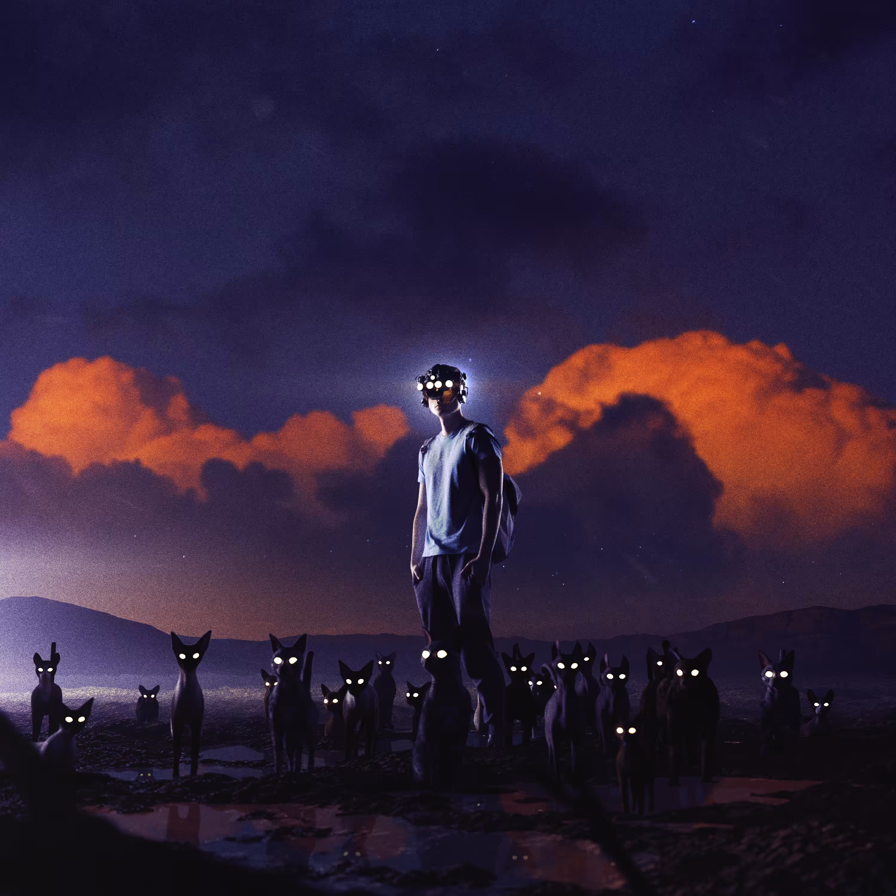 Moonlit Fools I