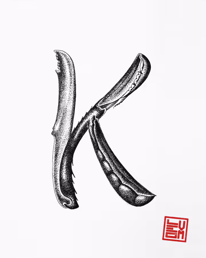 K - Insecttering