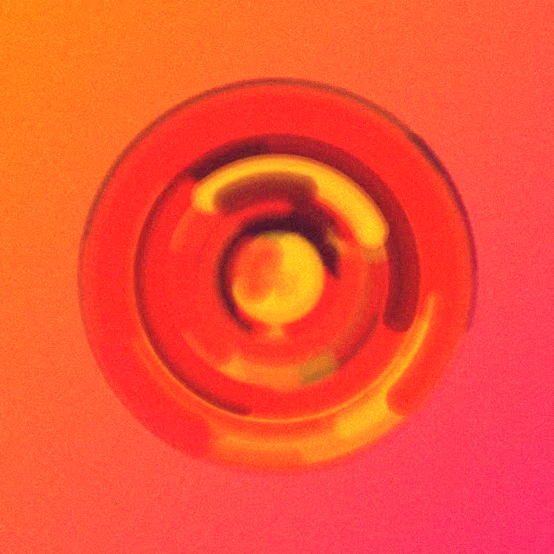 Wisp #938