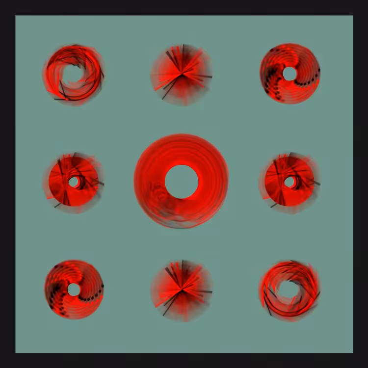 Spiny Spinners #33