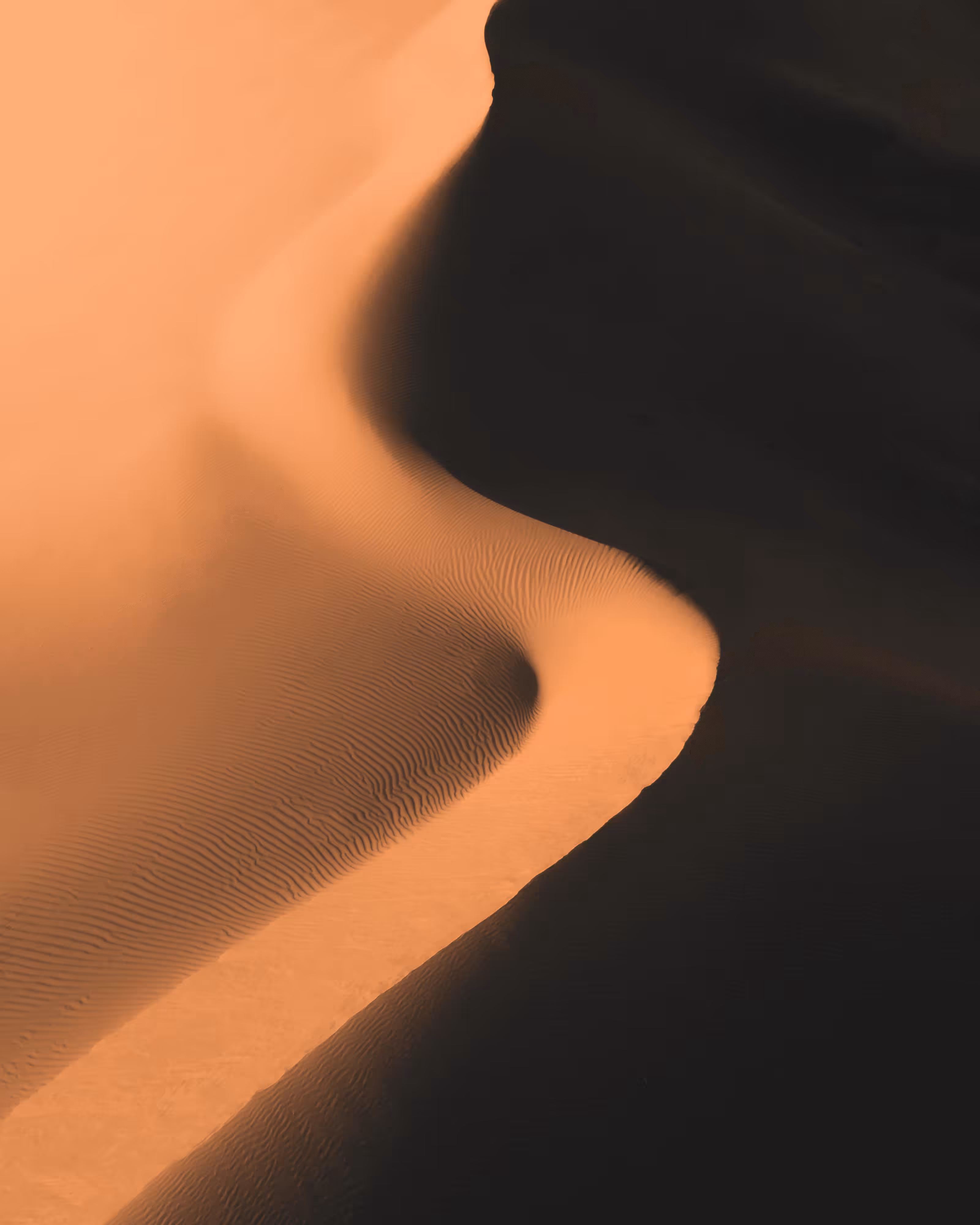 “Journey of Colour” #21