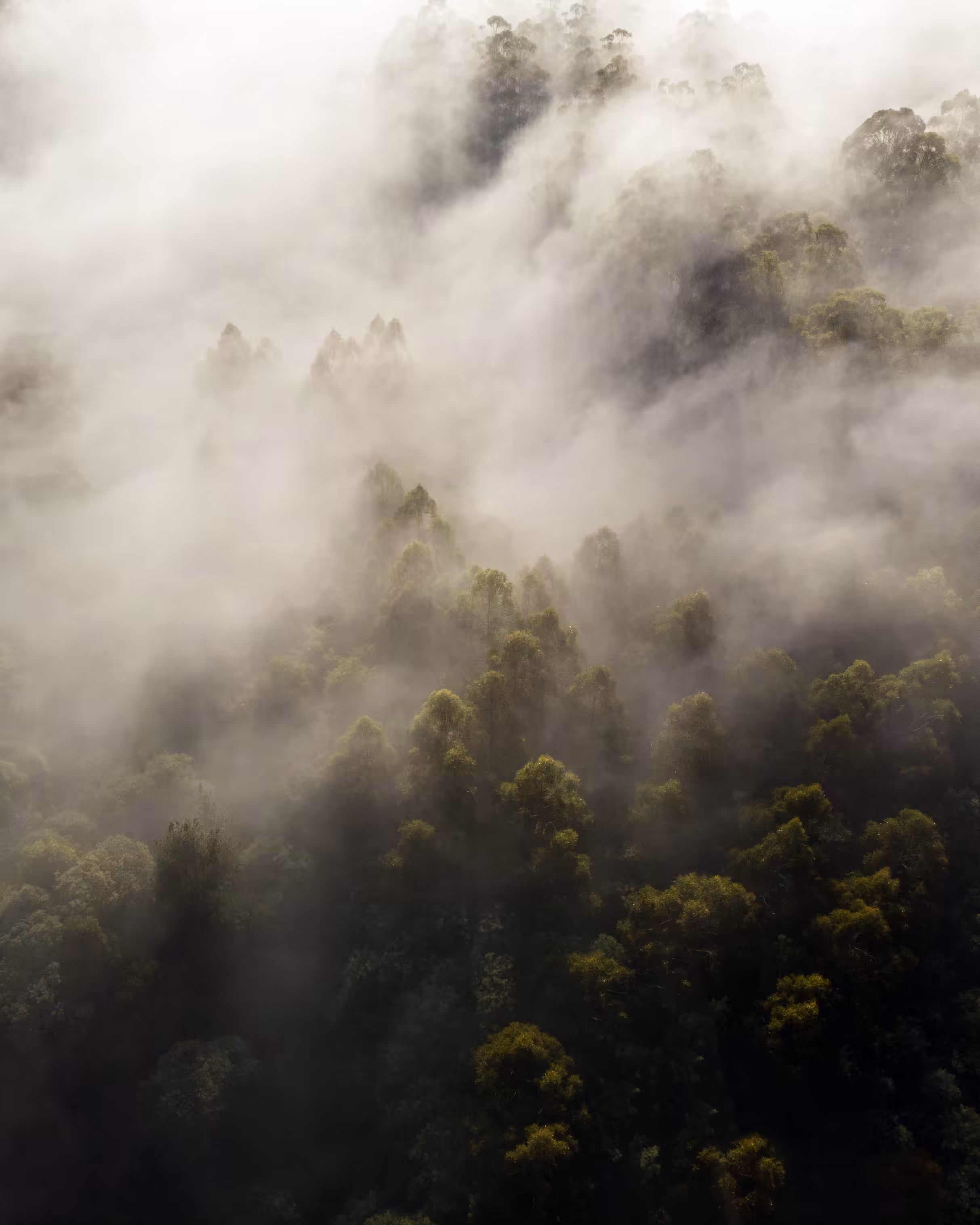 Low Cloud #4