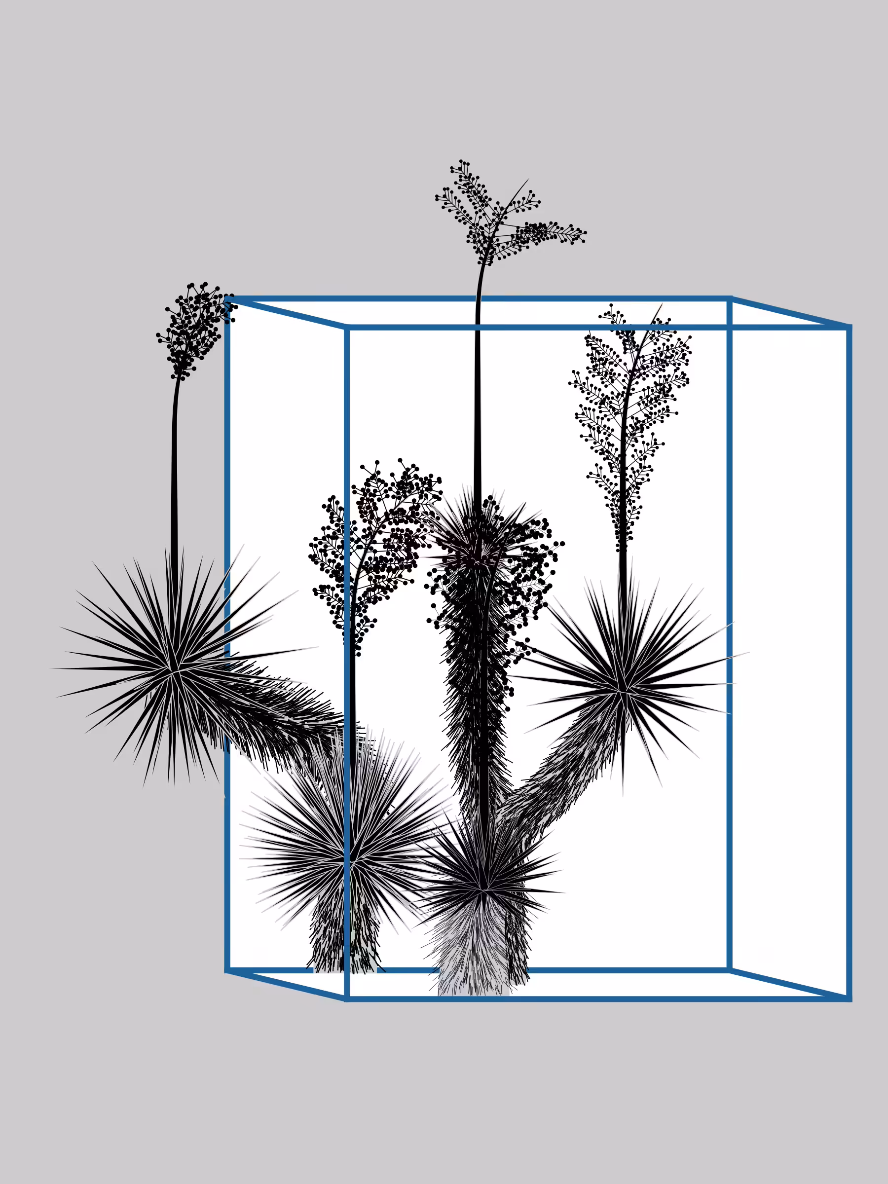 Marfa Yucca #92