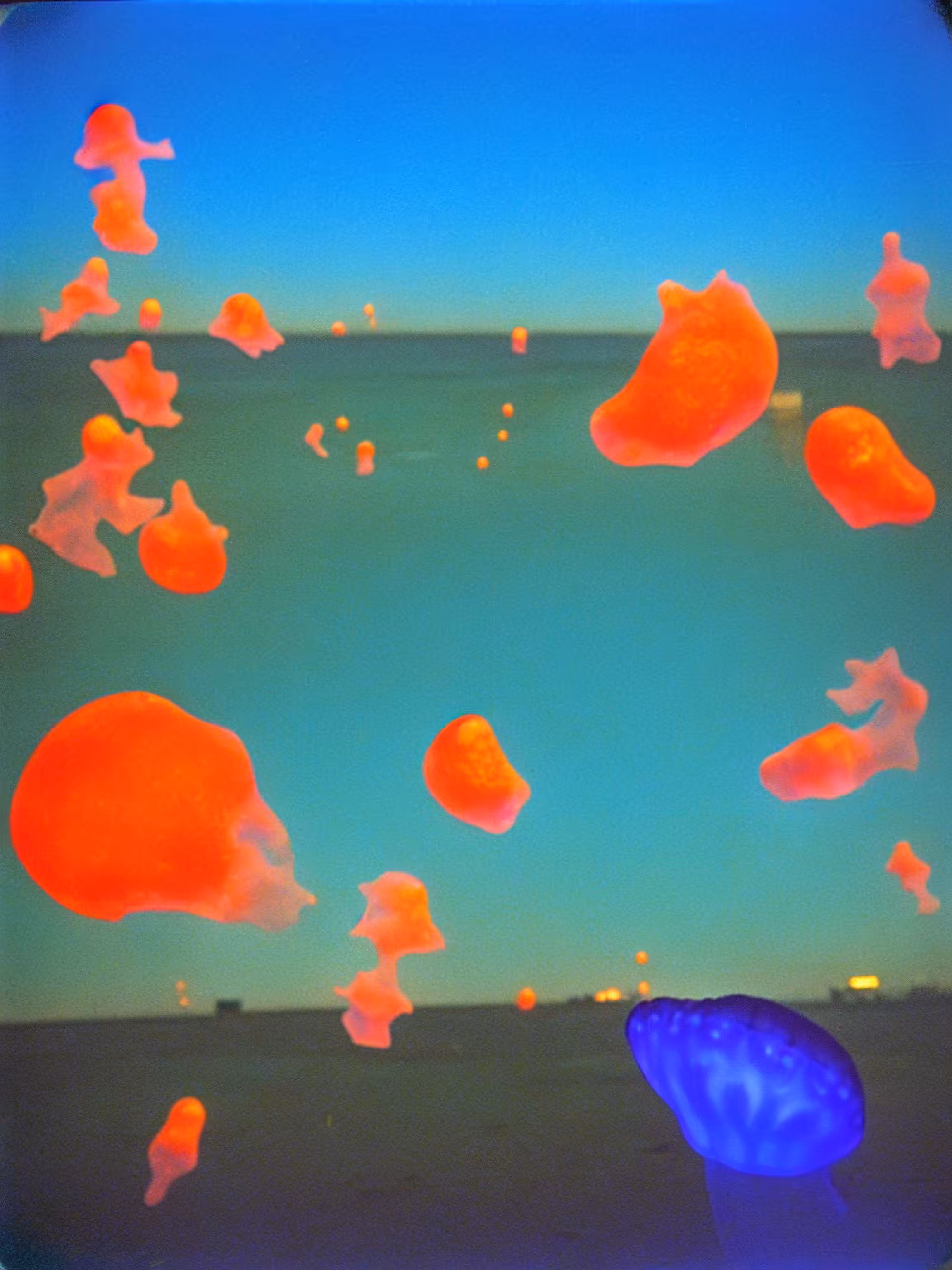 Year of the Jellyfish #72