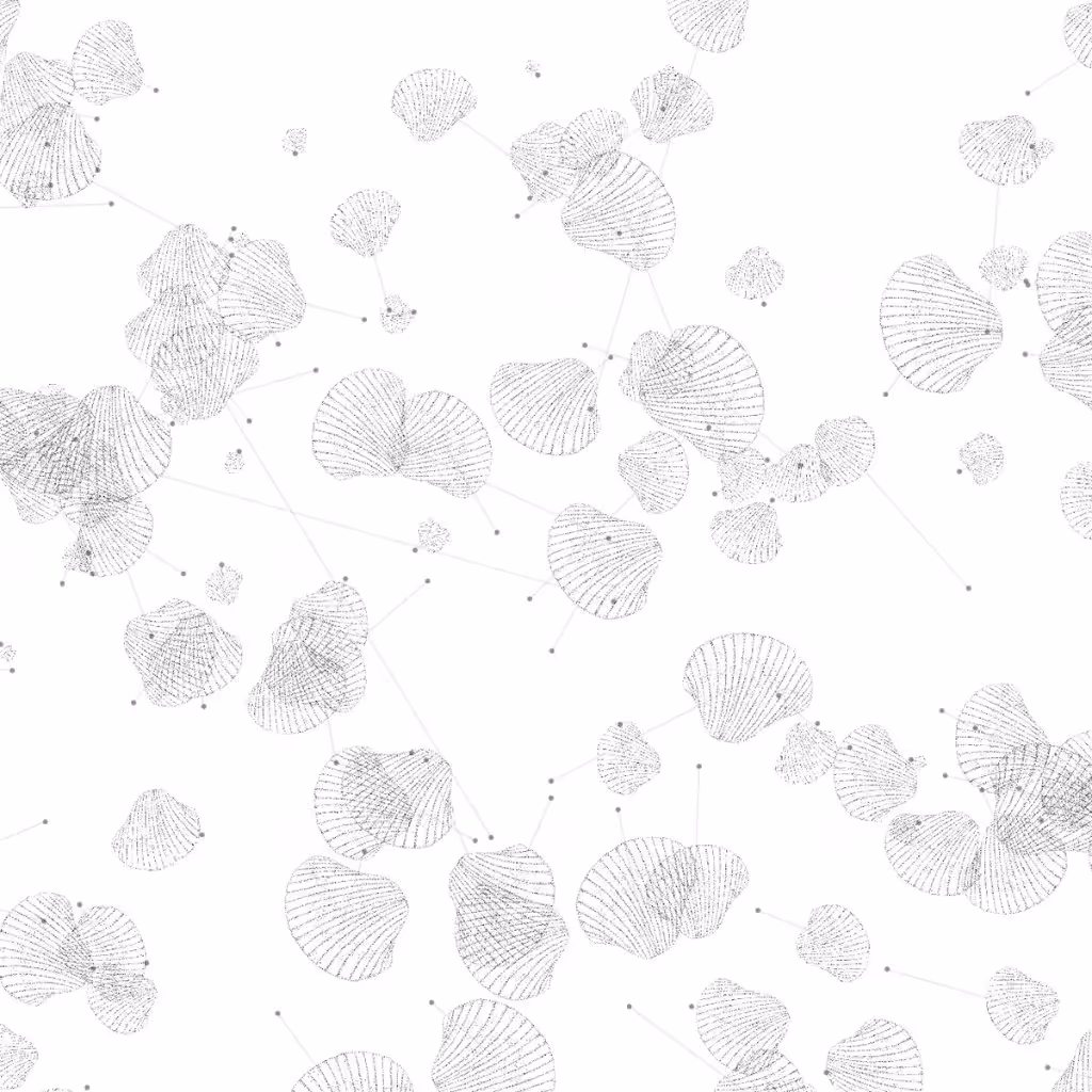 108 Shells