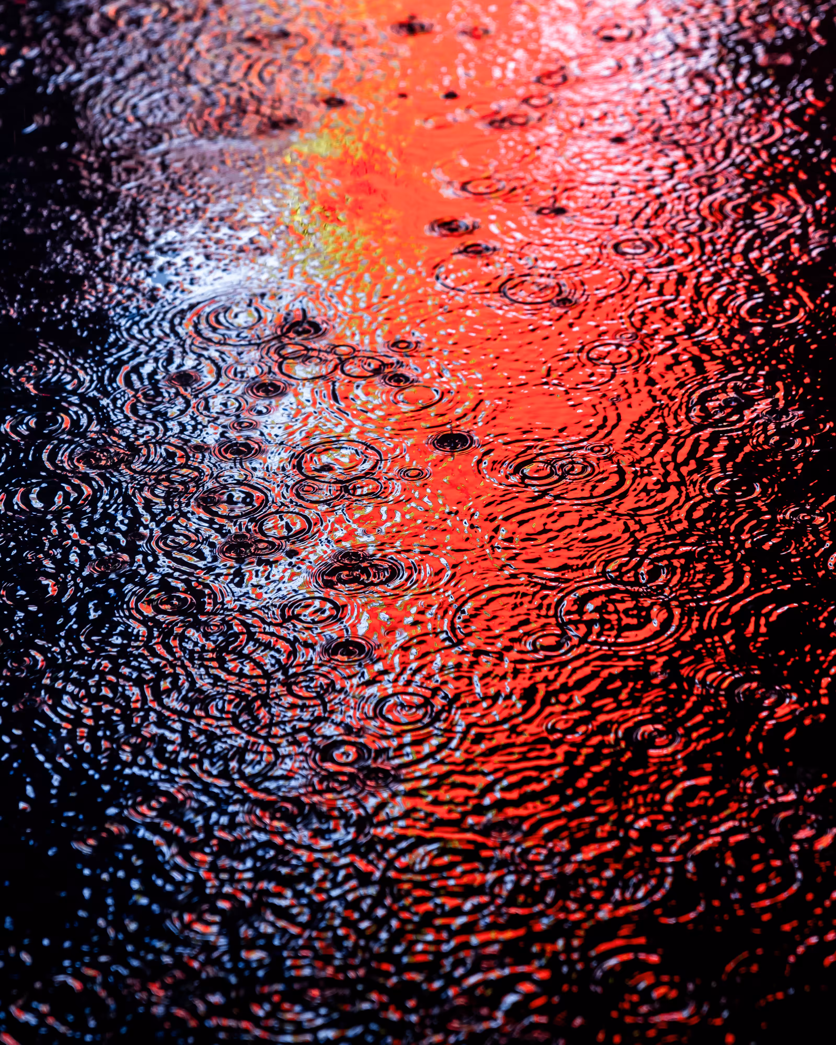 DRIP DROP: DRIP #687