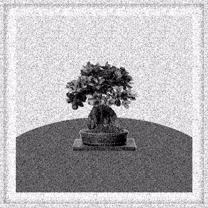 Bonsai Bonanza #821