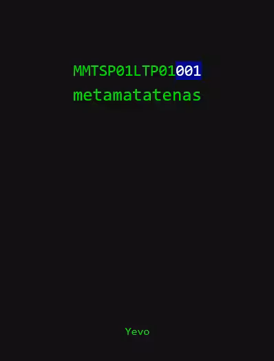 MMTSP01LTP01001