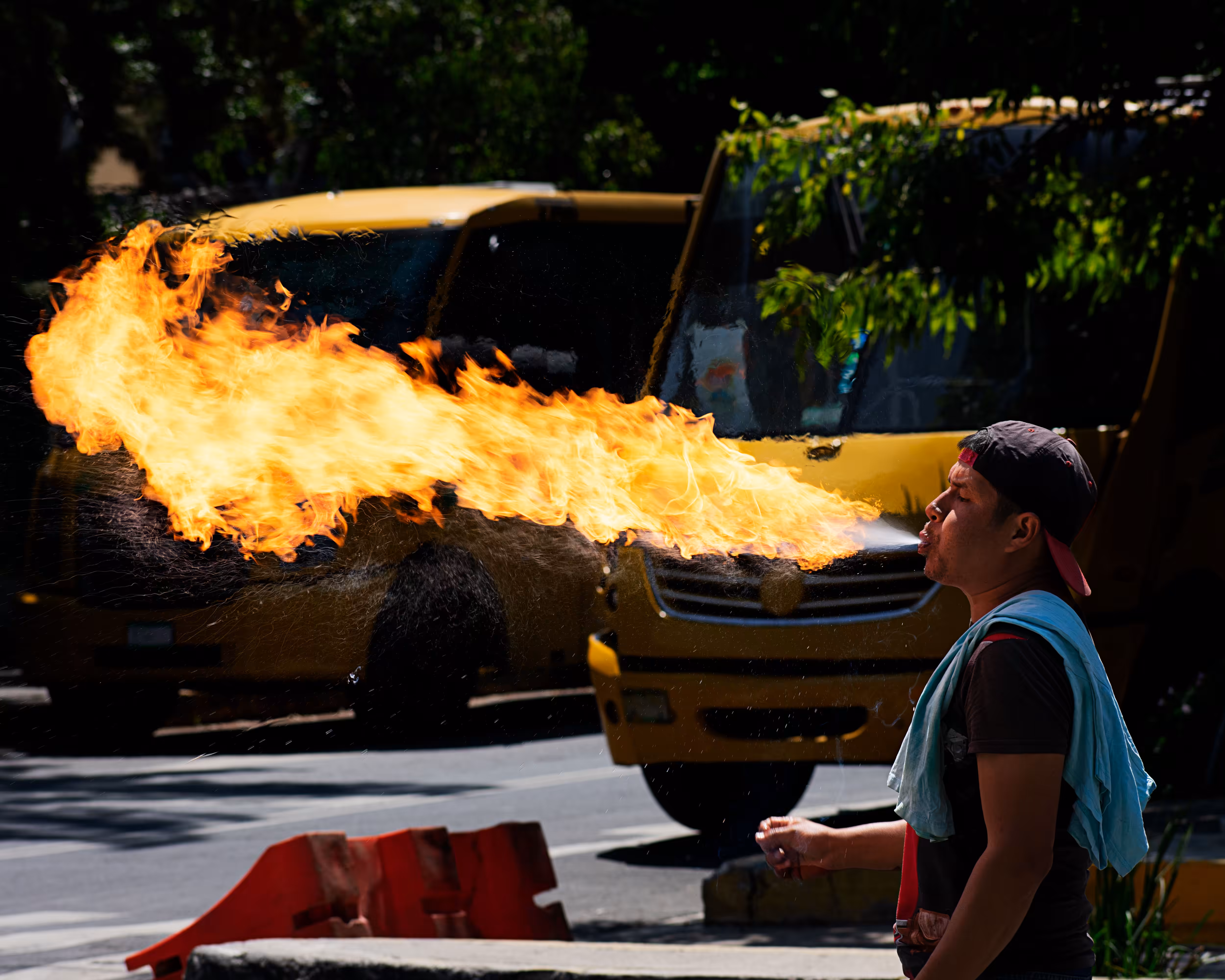 Swallow fire