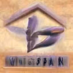 wingspanbank.com (1999-2001) reimagined by Cosmographia, with Simon Denny and Guile Twardowski