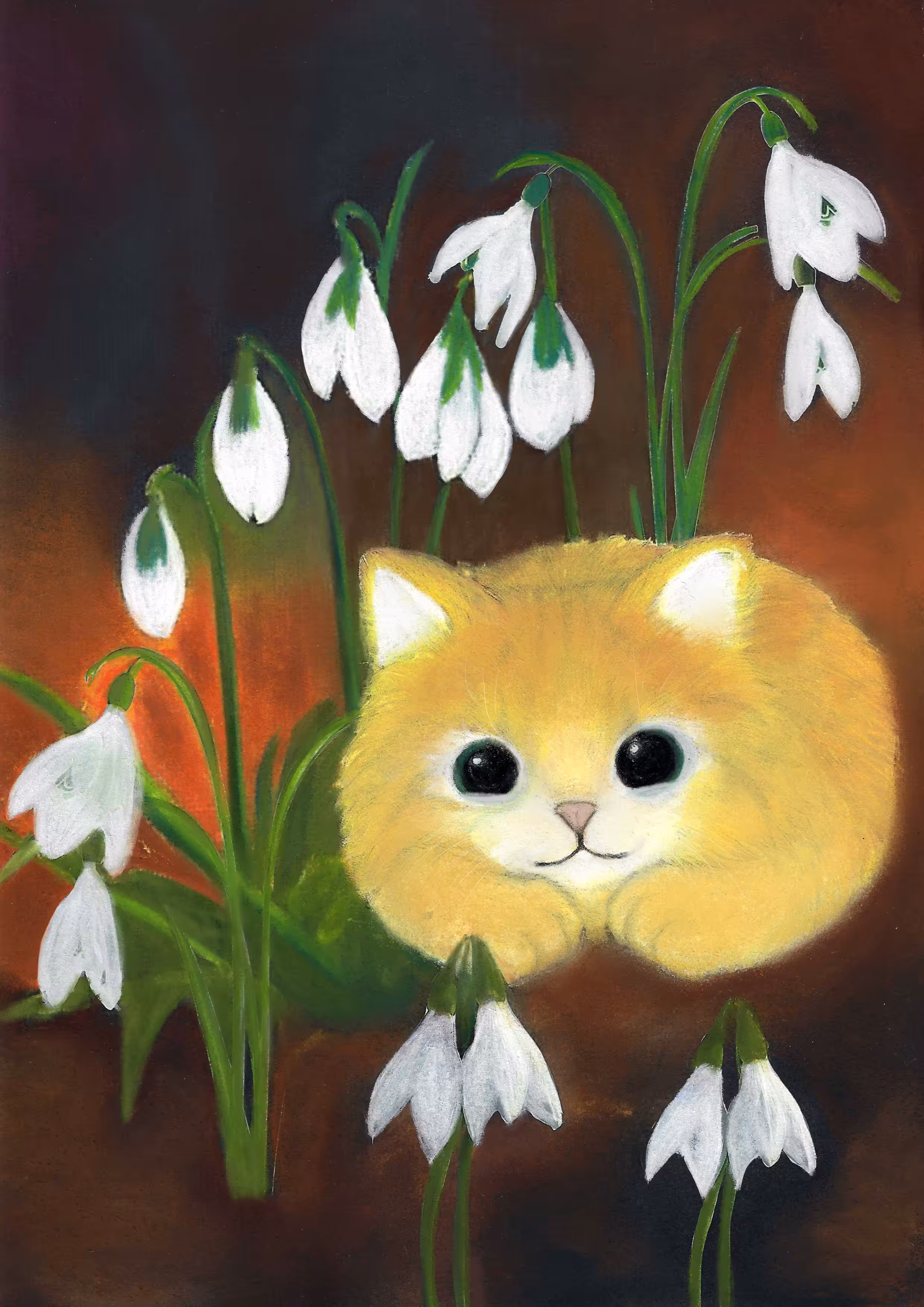 Snowdrops 