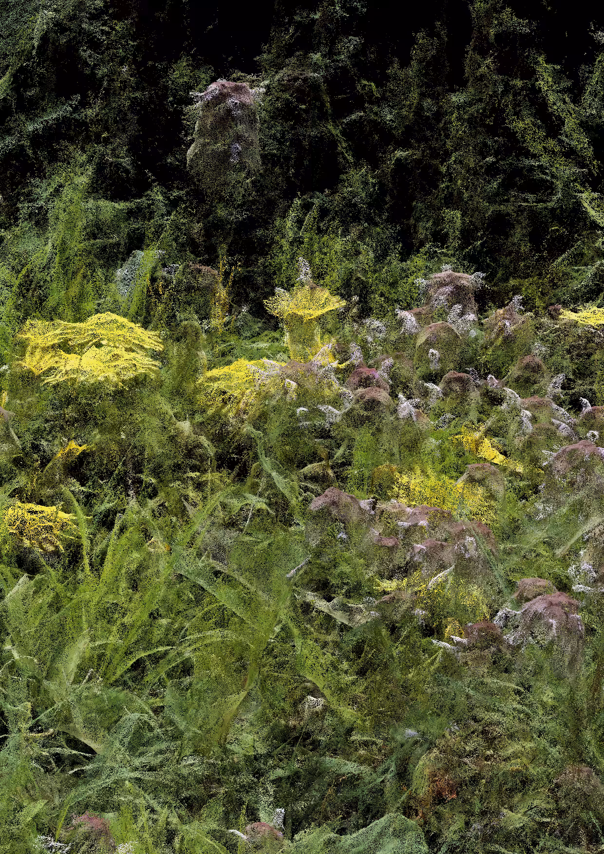 Overgrowth 0209