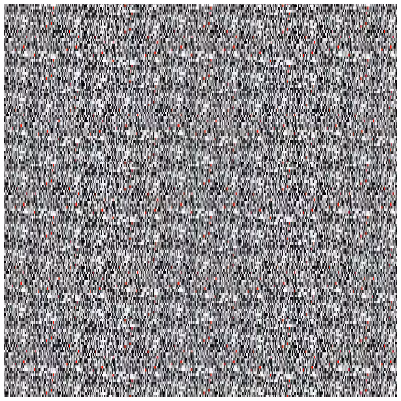 Ants #13