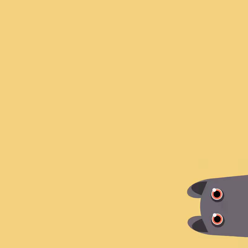 Where is the cat? #29