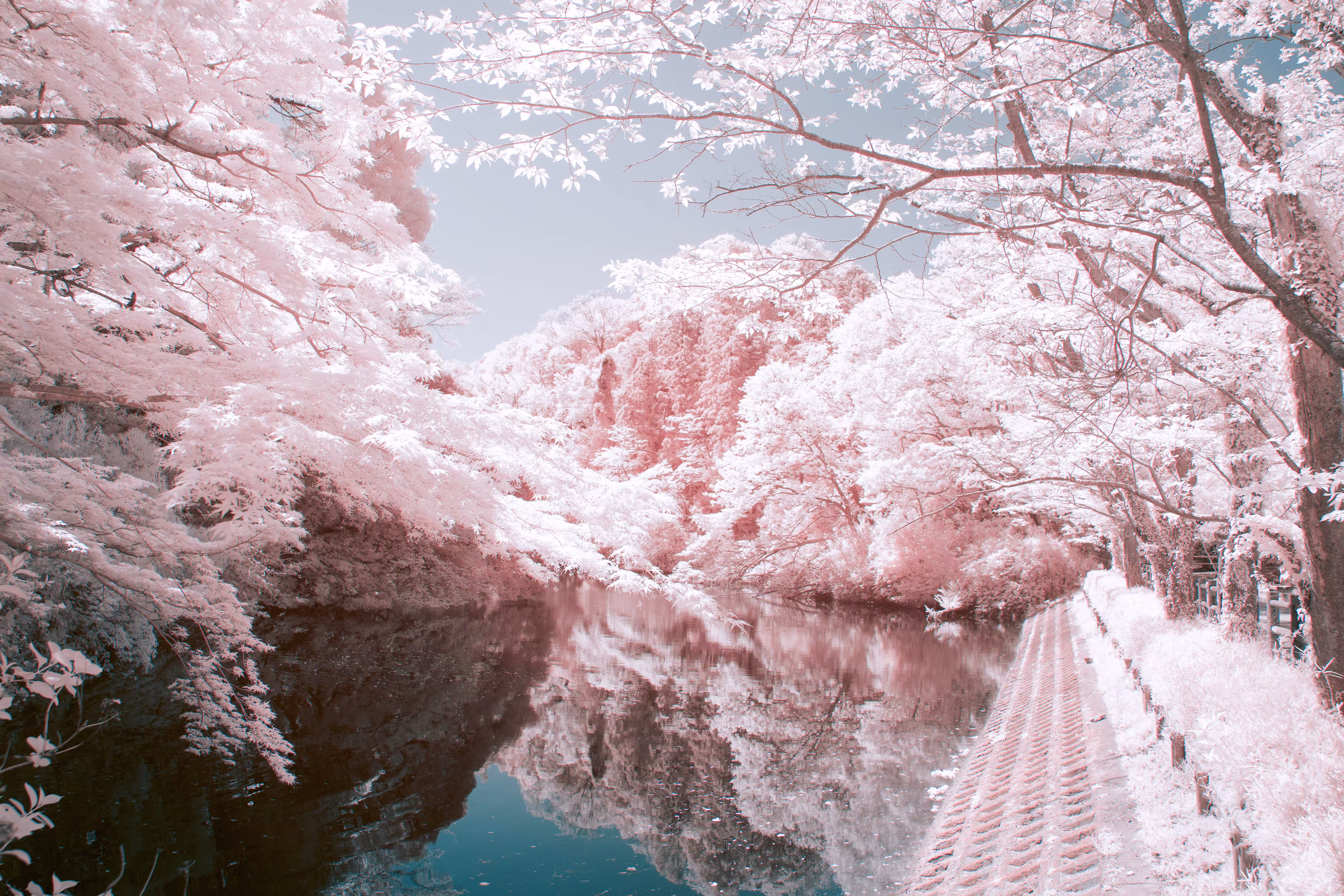 Dreamy Landscape