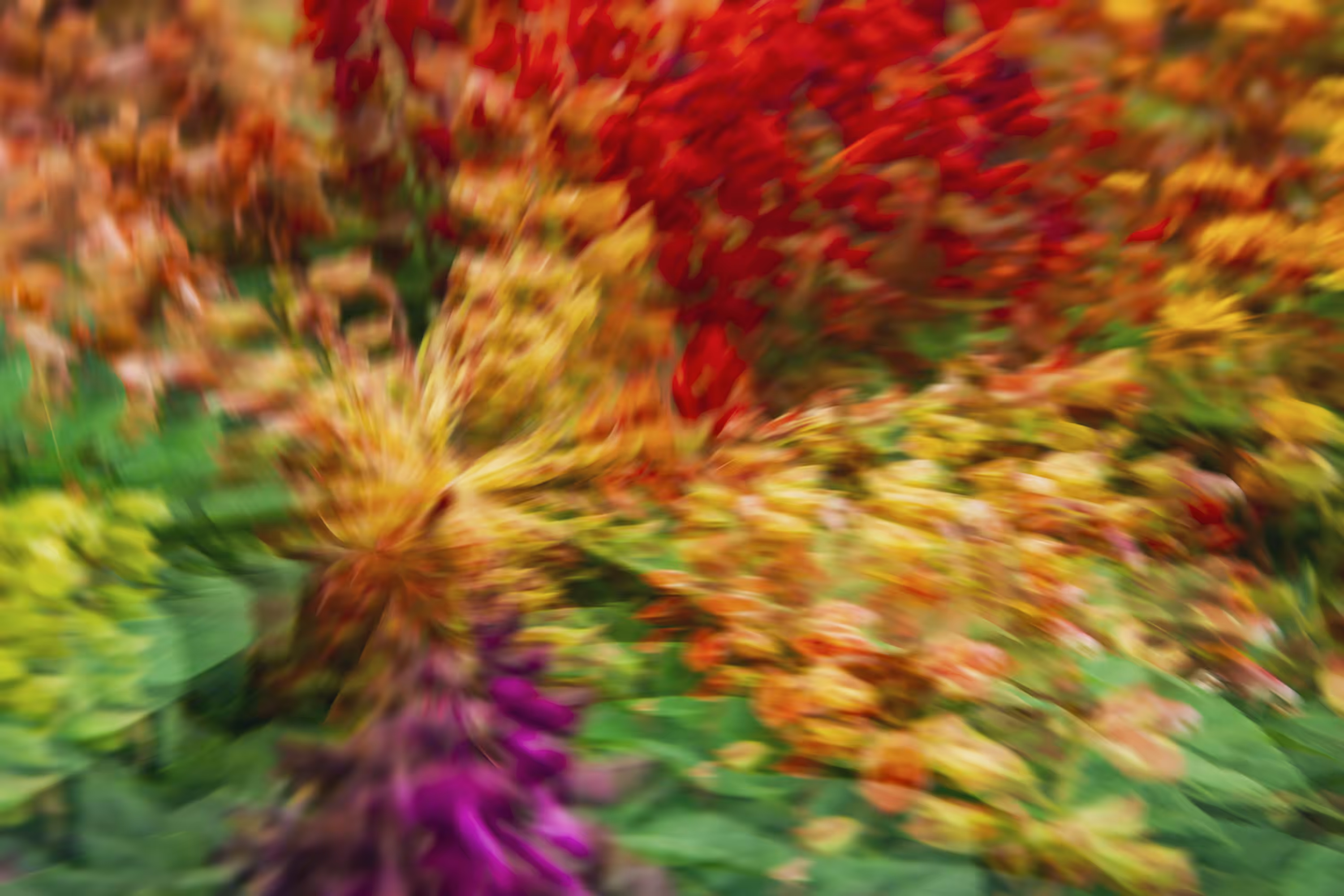 The colors