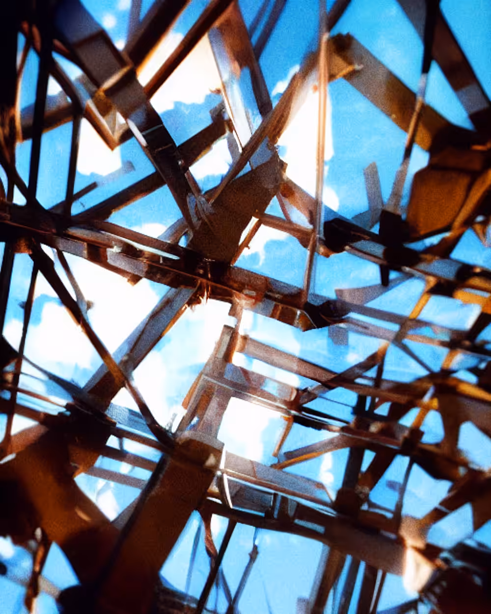 Solus (Study 40)