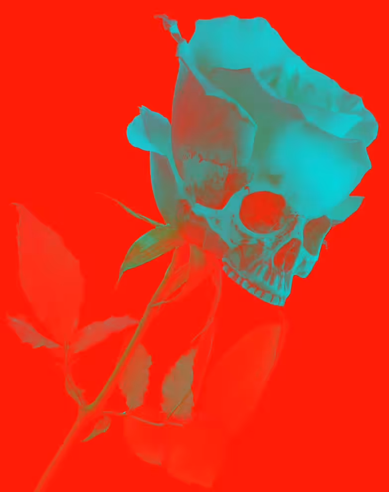 Mon Amie La Rose - Rouge