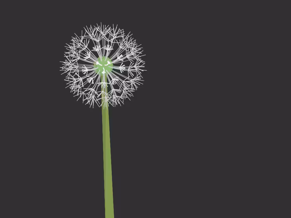 Interactive Seeds #23