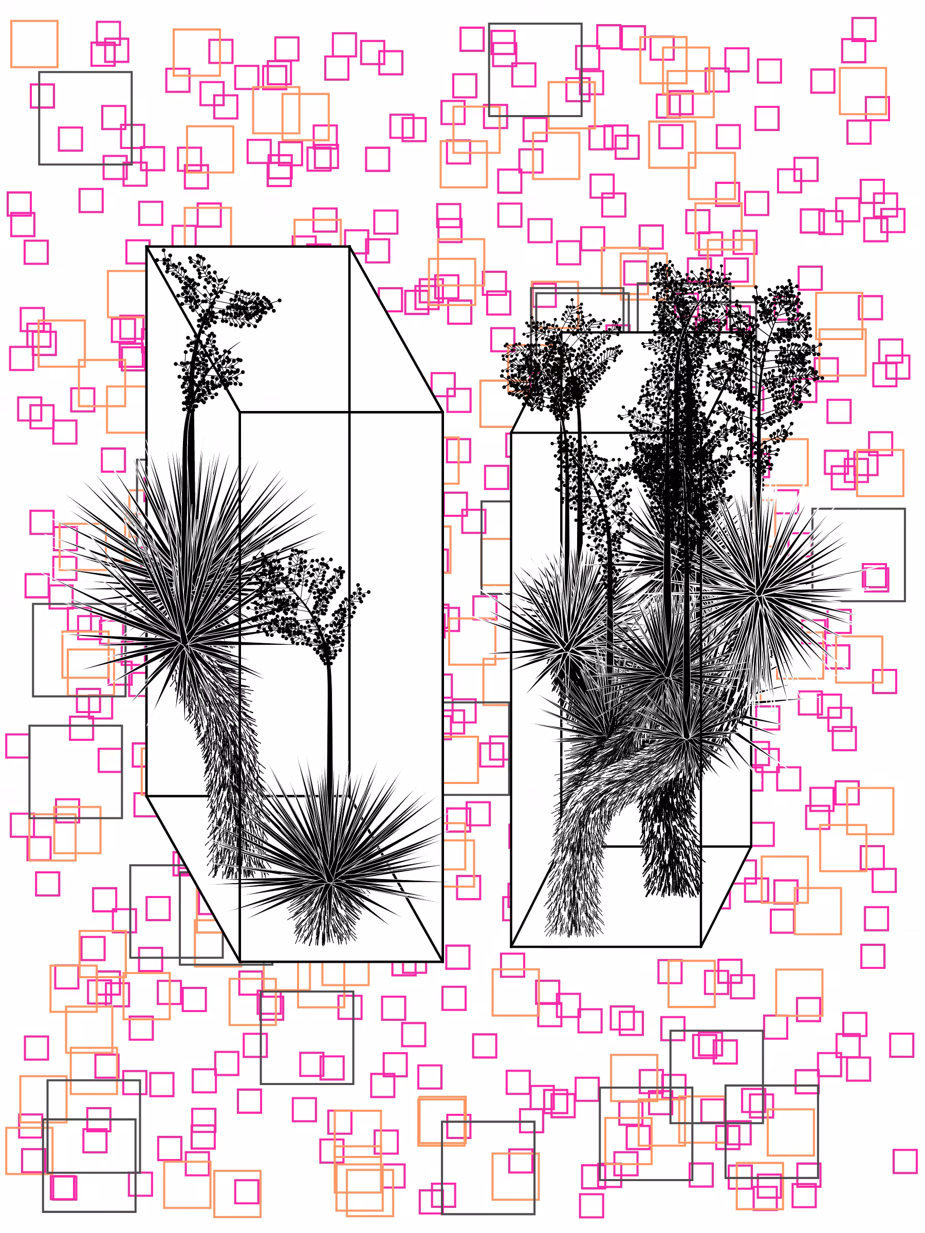 Marfa Yucca #278