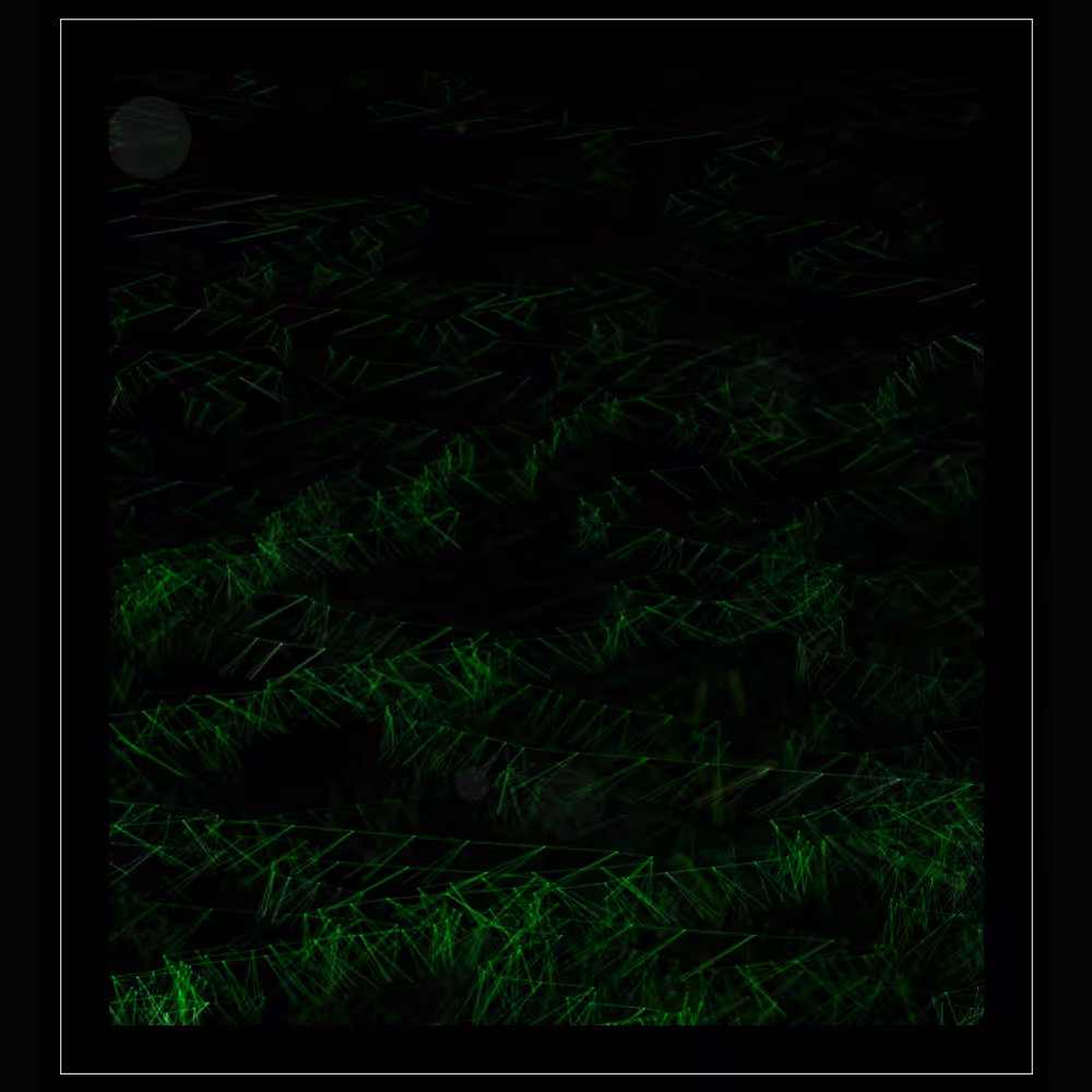 DigiRoots #19