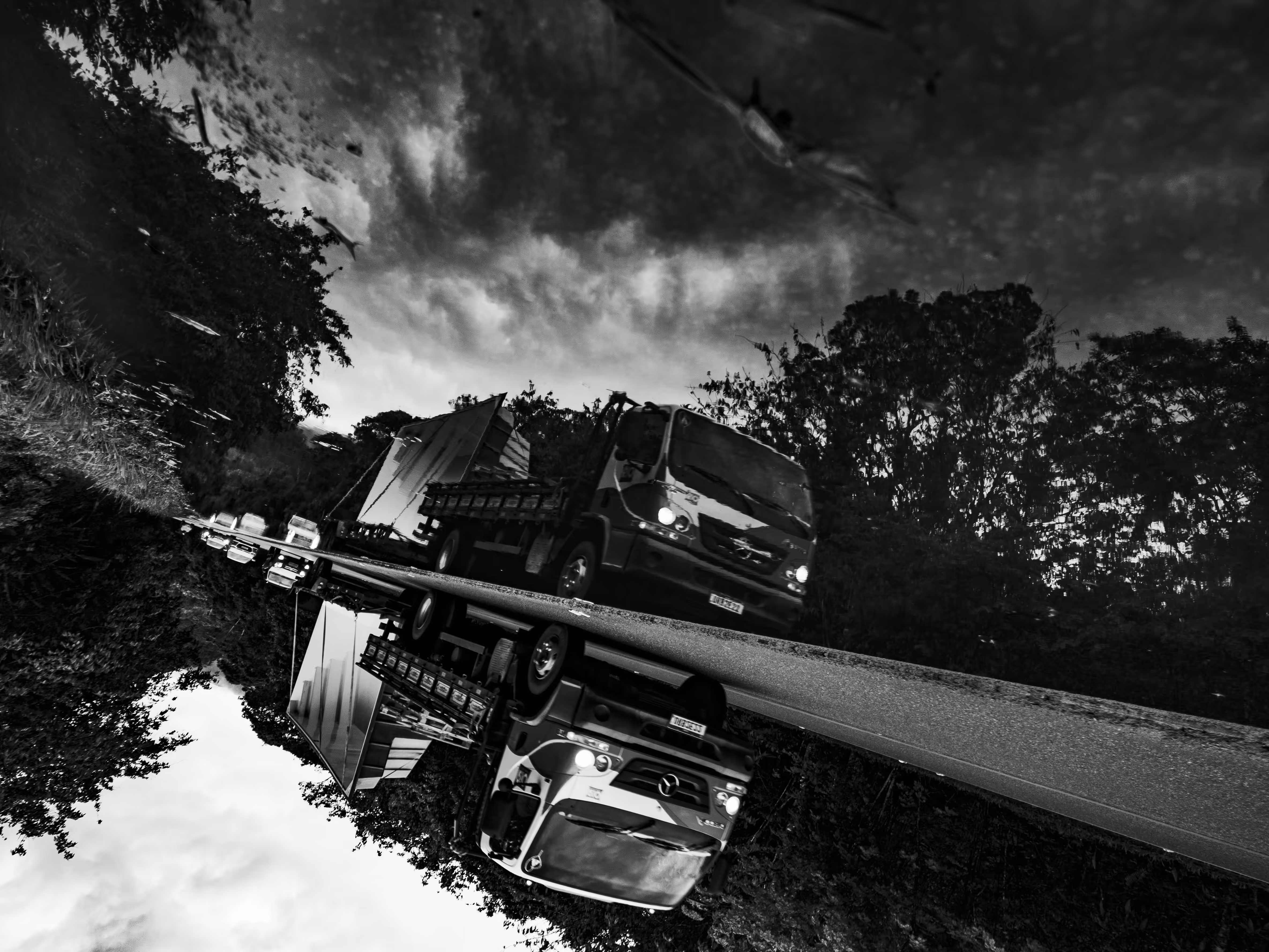 Disoriented-Road#2