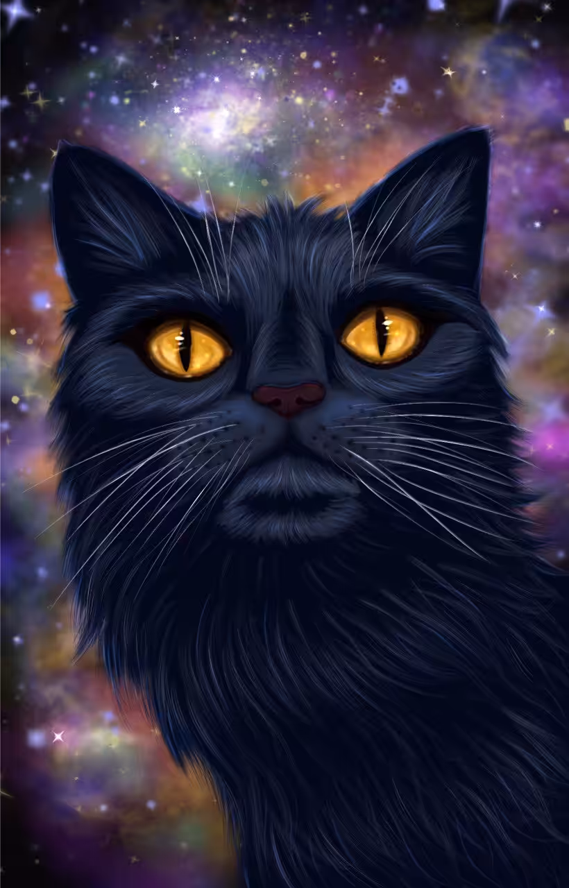 Space worlds: Space cat Lyapa