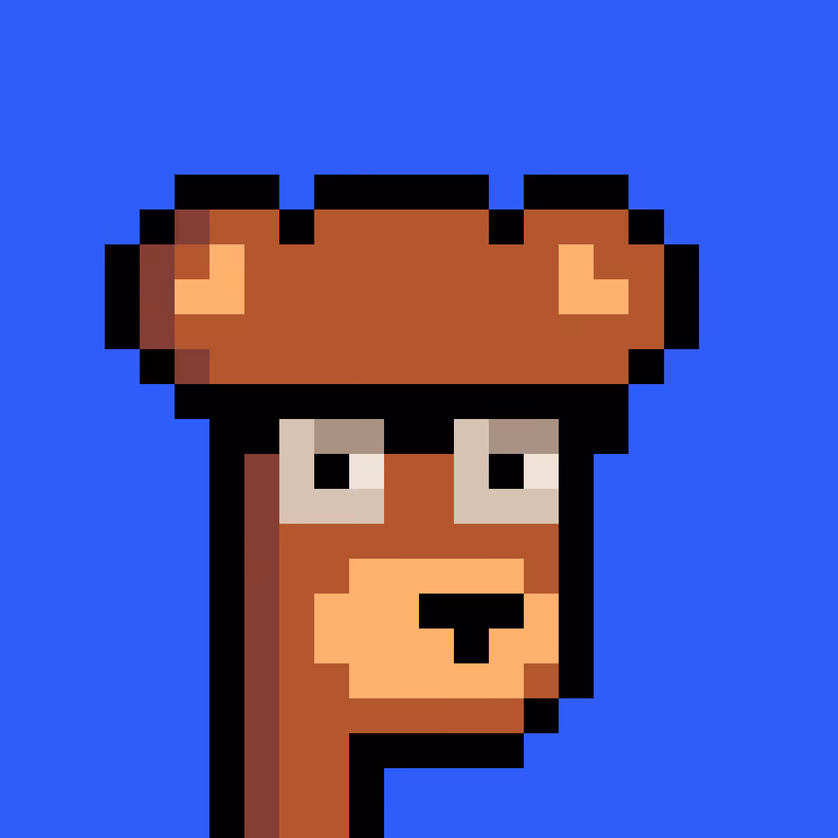 BearPunks #1613