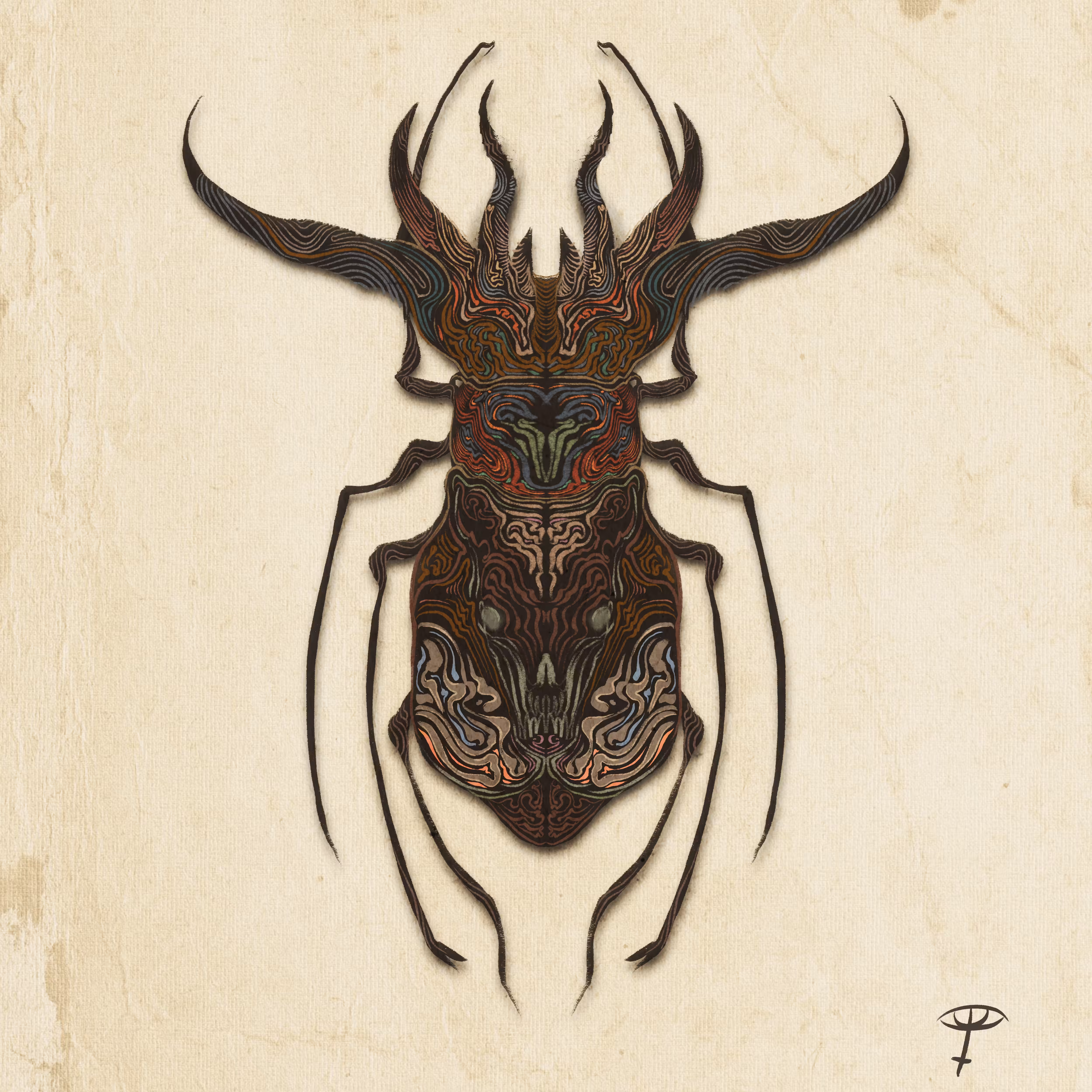  Lucanus Cervus II