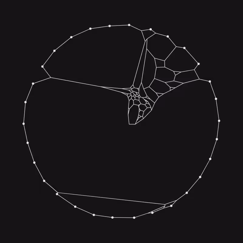 Elastic Web #201