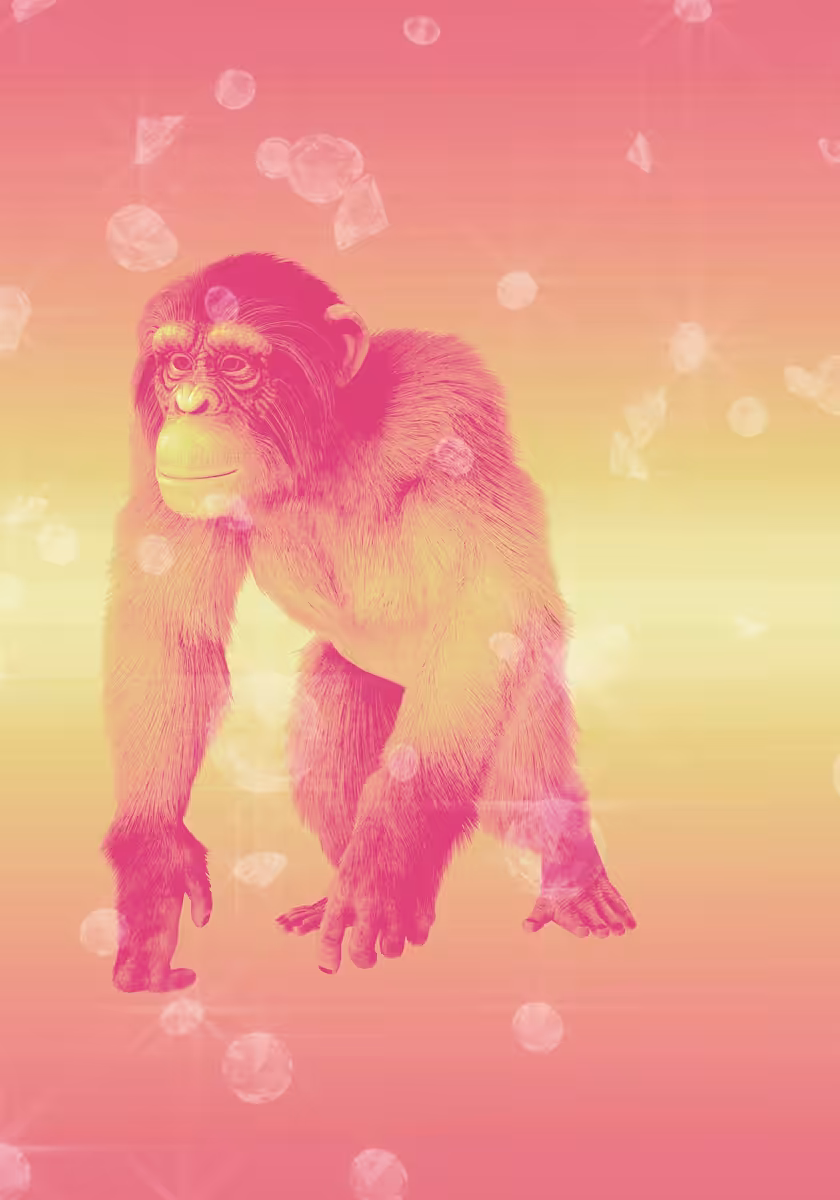 Apes Unite
