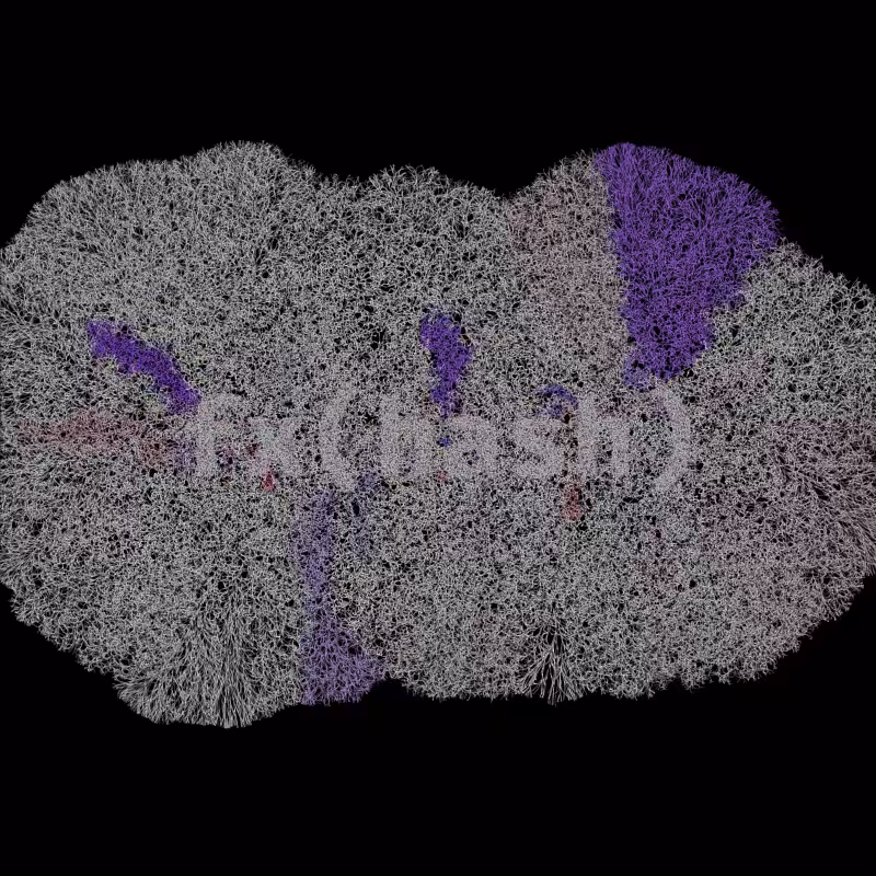 FXHASH Generative Logo #808