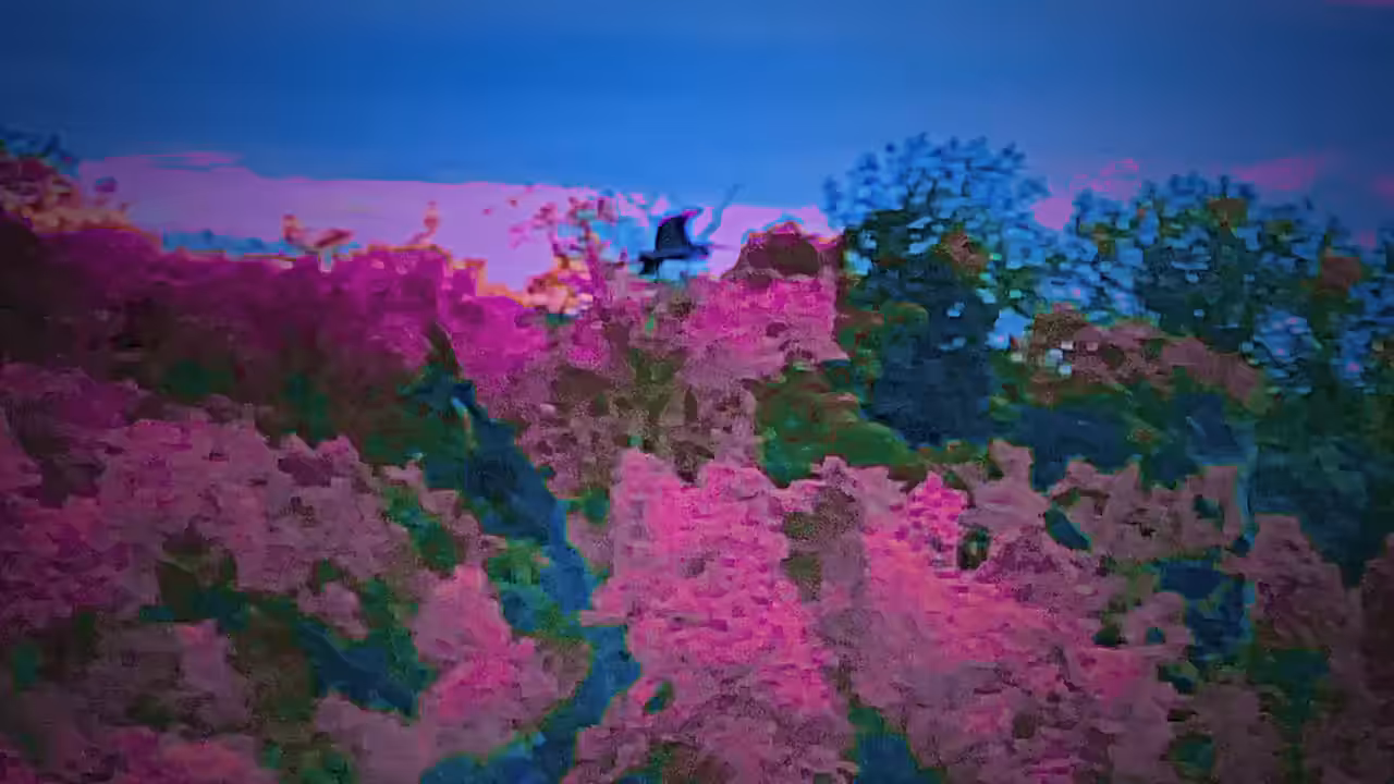 MetaRelaxation #9