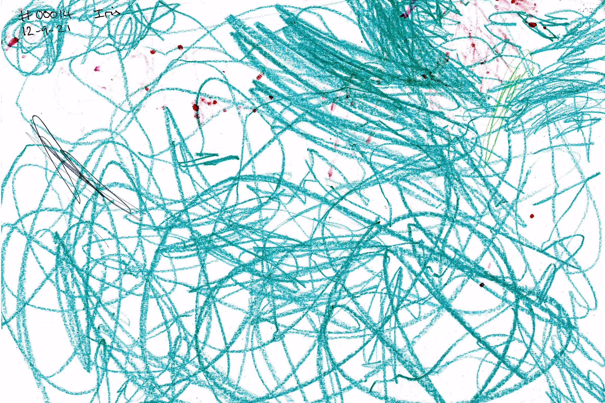 #00014 Green 210912