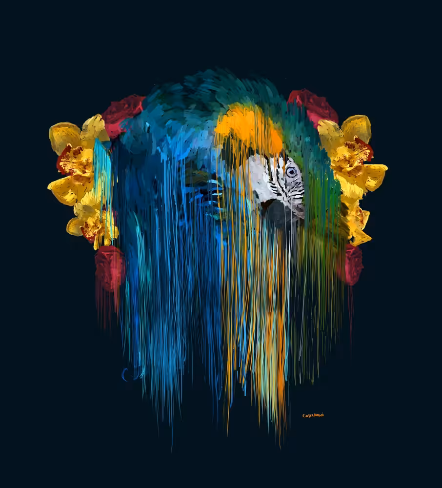 Guacamaya