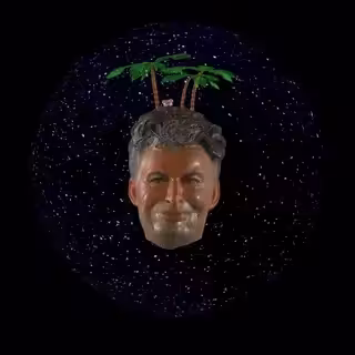 Palm Head