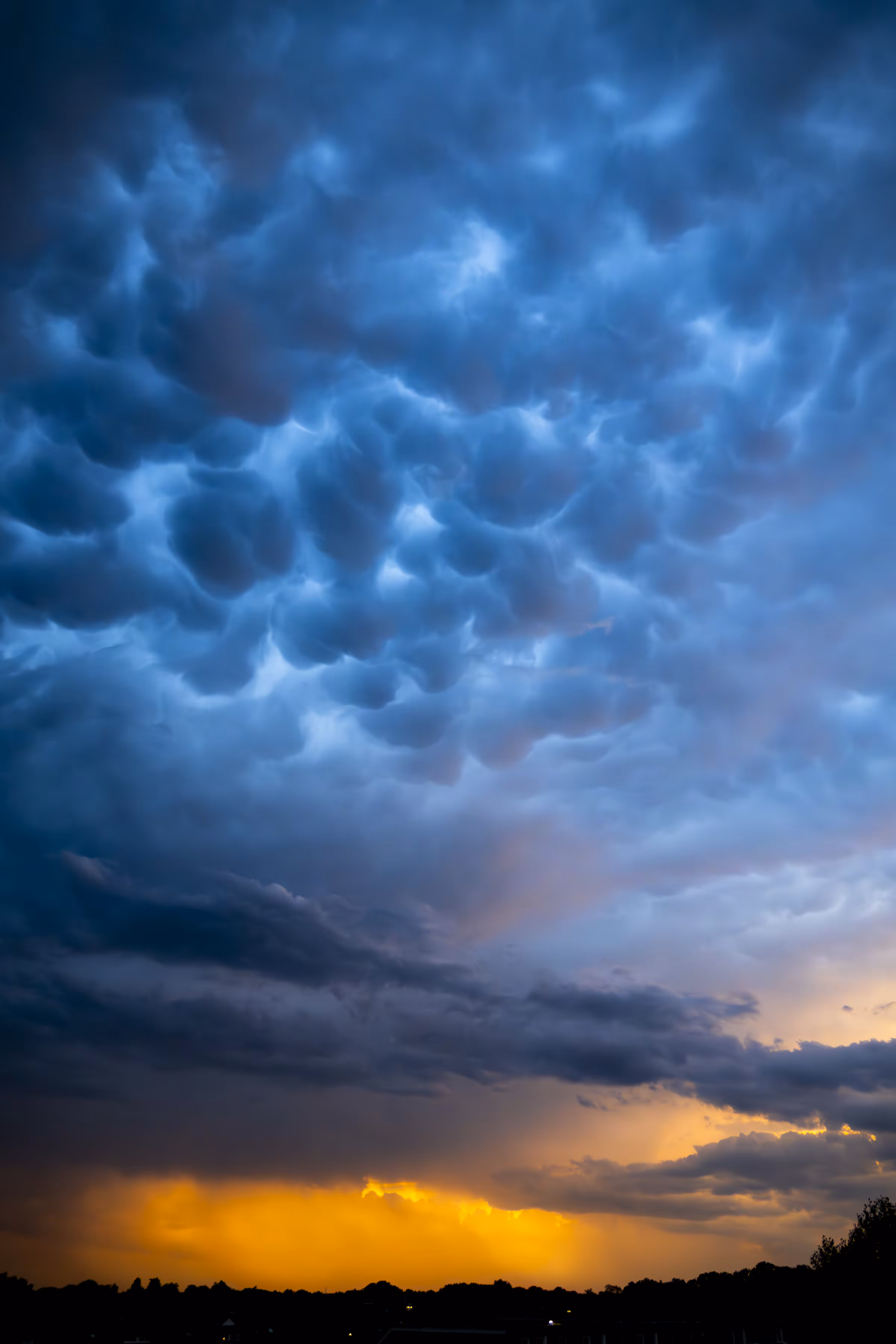 Evening Canvas #4
