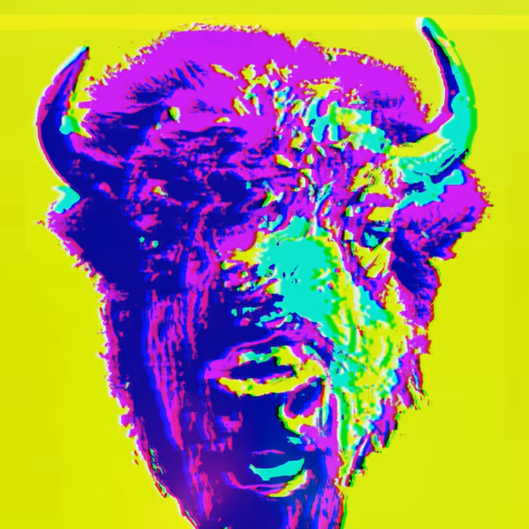BISON - SA#005