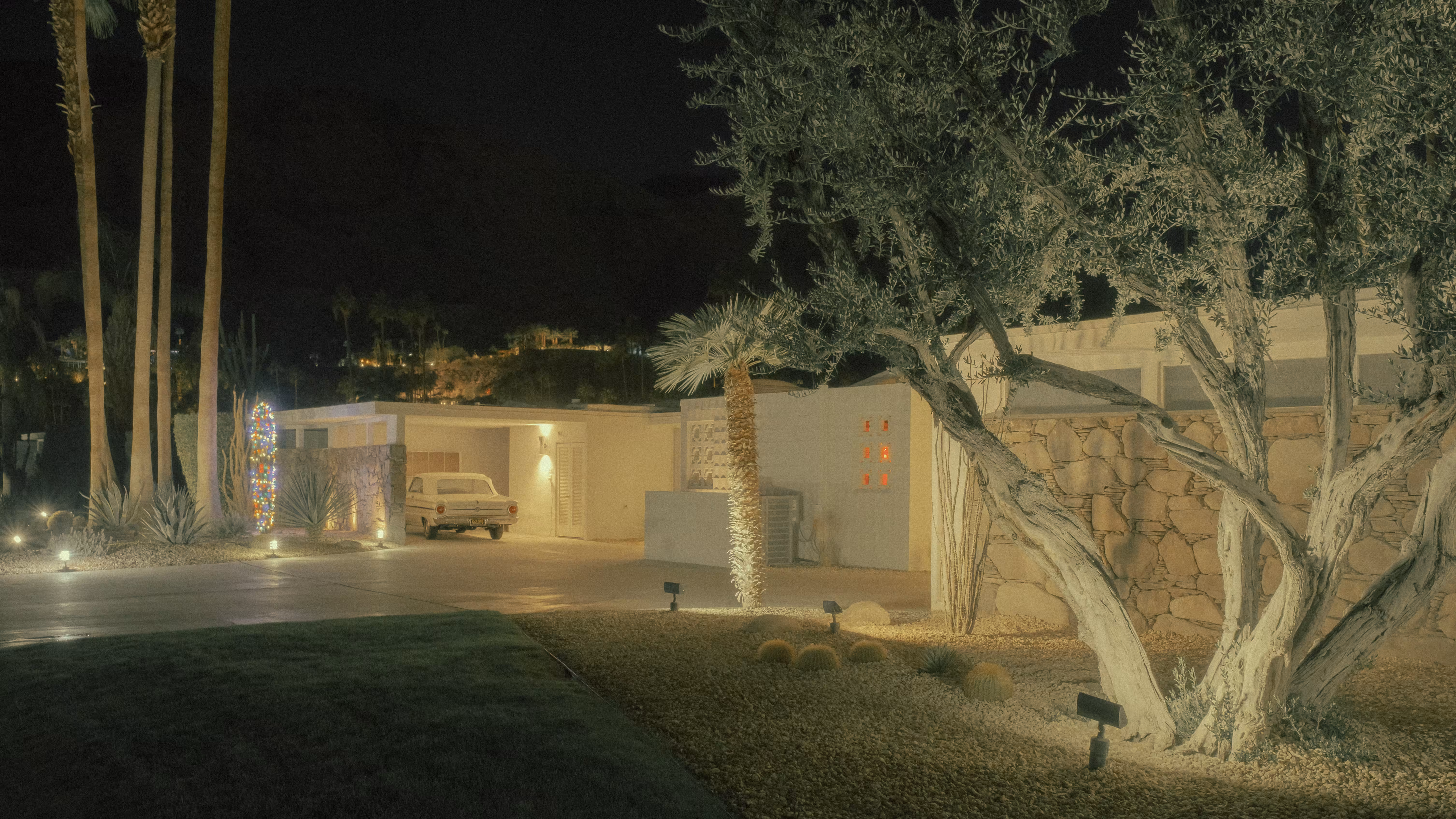 Late Night In Palm Springs